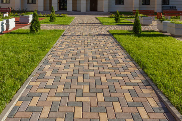 Reasons to Select Us for Your Driveway Paving Requirements in Minnetonka, MN